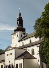 Fototapeta na wymiar Dom auf dem Domberg in Tallinn