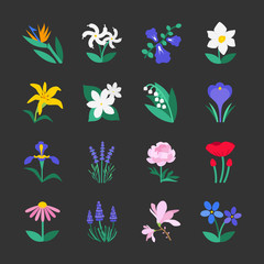 Fototapeta premium Famous Flower icons Set 2