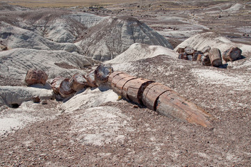 Landscape at Petrified Forest National Park