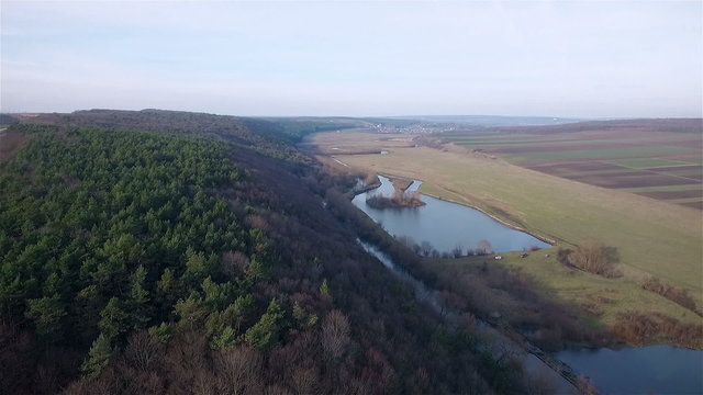 Aerial view over the forest and lake