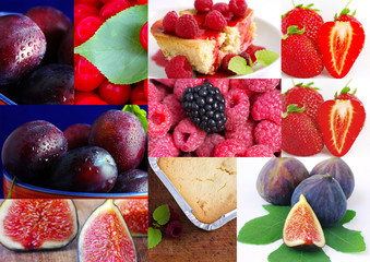 colorful fruit collage