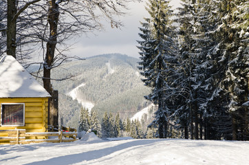 House in the winter forest near the ski slopes