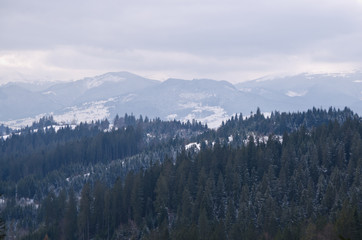 Naklejka premium Panorama of the winter forest and mountains