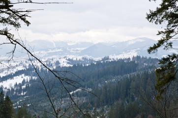 Panorama of the winter forest and mountains