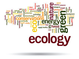 Vector conceptual ecology word cloud isolated