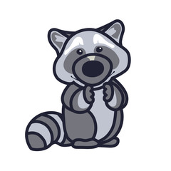 raccoon