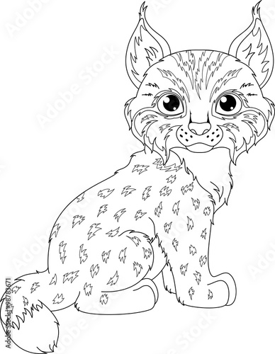 "Lynx Coloring Page" Stock image and royalty-free vector files on