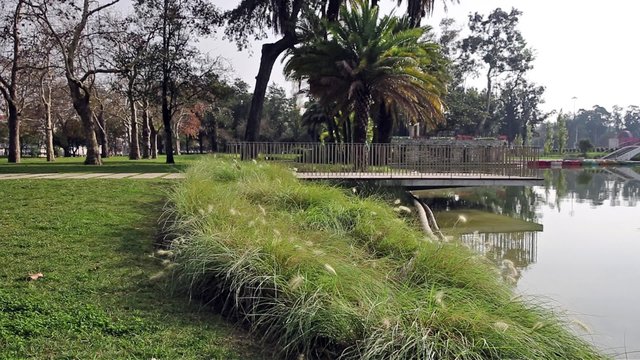 Campo Grande garden with a lake and green vegetation in Lisbon, Portugal
