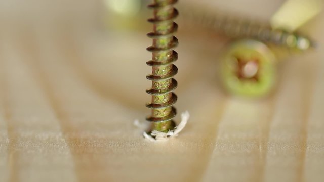 Use screw machine for insert screw into the wood
