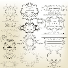 Vector set of calligraphic elements for design. Calligraphic vec