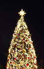 New Year tree bokeh lights