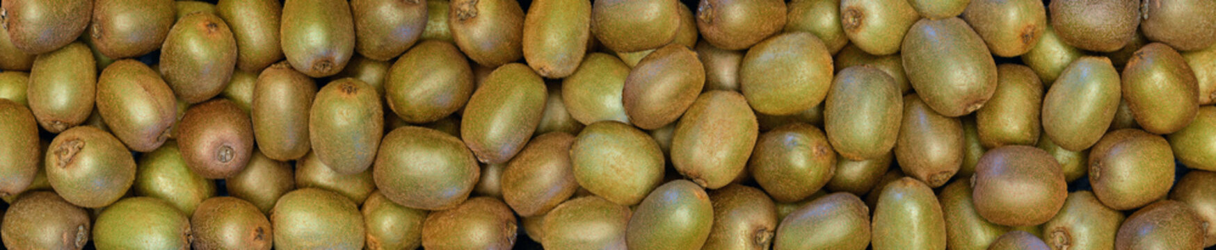 Kiwi - (Aktinidia) - owoc 
