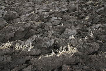 Mud in the fields