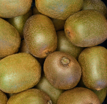 Kiwi - (Aktinidia) - owoc 
