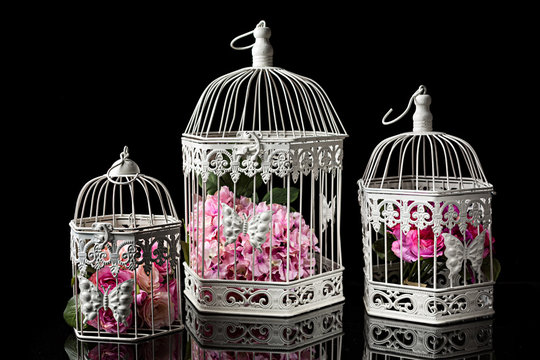 Jaulas decorativas con flores 2. foto de Stock | Adobe Stock
