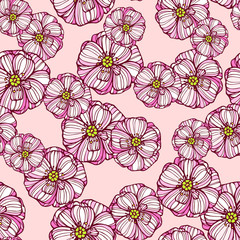 Floral pattern with poppies flowers