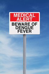 Dengue Fever
