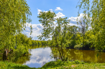 Fototapeta premium Summer landscape by the river Mukhavets. The city of Brest. Belarus