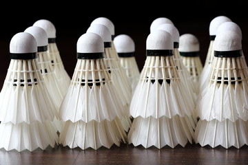 Rows of Badminton Shuttecocks, Sport Theme