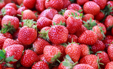 background from freshly harvested strawberries