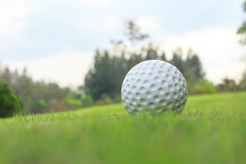 white golf ball on green