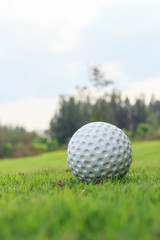 white golf ball on green