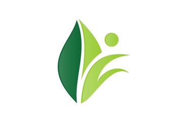 green leaf logo abstract