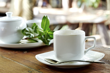 Morning coffee in the garden