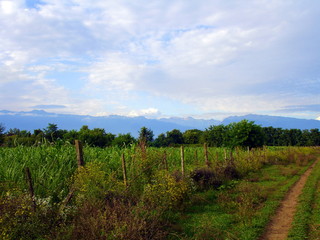 Obraz premium summer day the plain before mountains