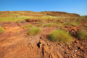 Australian outback