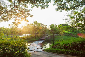 The park relaxation