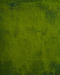 Fototapeta premium green background