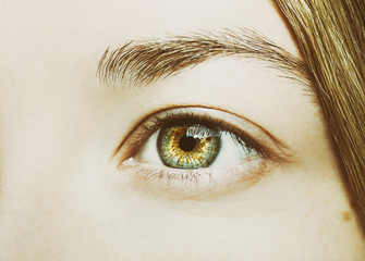 Naklejka premium A beautiful insightful look eye. Close up shot 