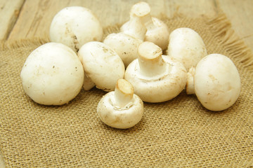 champignons de paris 26122015