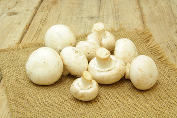 champignons de paris 26122015