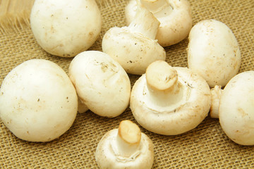 champignons de paris 26122015