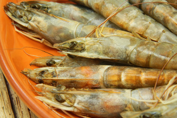 gambas 26122015