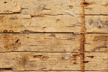 Wood texture