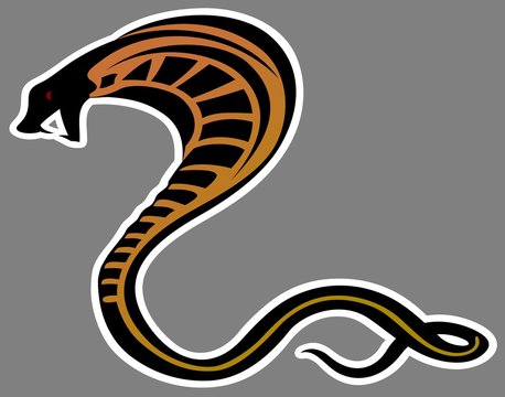 Art Animal Cobra Snake Vector Illustration