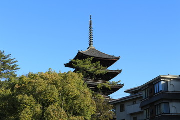 Fototapeta premium 奈良 猿沢の池から見える興福寺