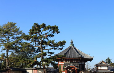 奈良　猿沢の池から見える興福寺