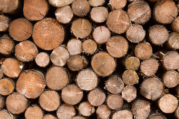 Holzstapel Hintergrund