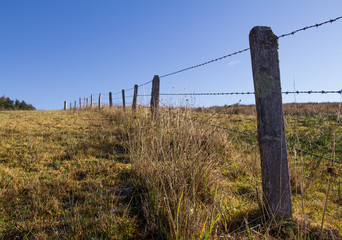 Weidezaun, Stacheldraht