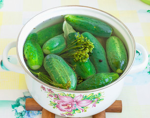 Cucumbers salted in a saucepan