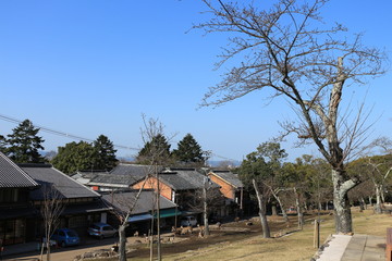 奈良　若草山