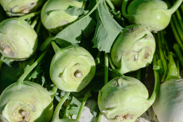 Bulbs of fresh kohlrabi vegetable on market stall for sale