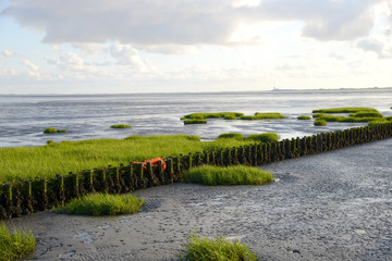 Wattenmeer bei Husum - Nordsee