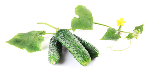 Cucumbers with leafs isolated on white background