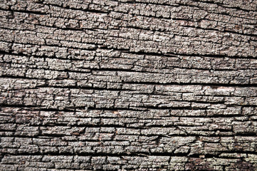 wood texture background