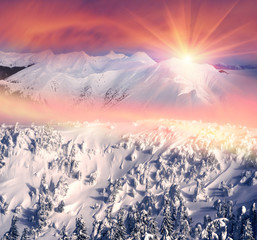 Plakaty  Severe winter landscape